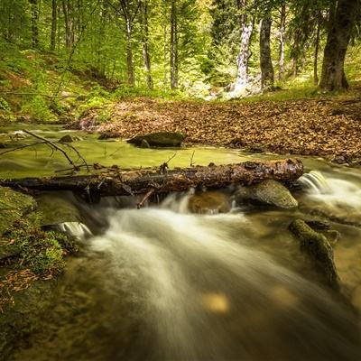 金年会官网手机版下载