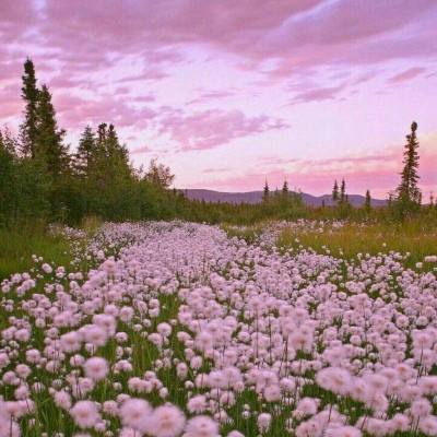 PG麻将胡了免费版手机app下载