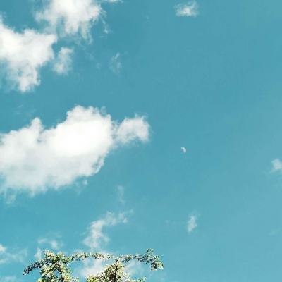 星空体育app下载手机版